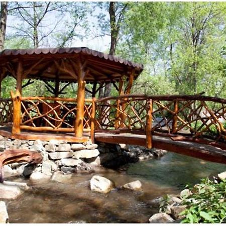 Pensiunea Pentru Tine Prietene Arcani Kültér fotó