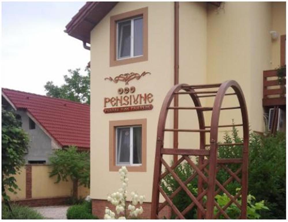 Pensiunea Pentru Tine Prietene Arcani Kültér fotó